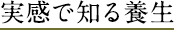 実感で知る養生